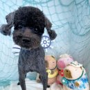 털찐친구들 이미지