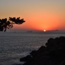 야생화 민박 이미지