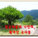 월정 마을회관 이미지