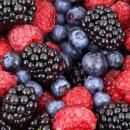 제이에스피 이미지