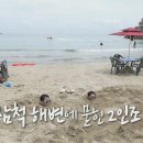 먹방민박 이미지