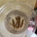 귀거래산장 이미지