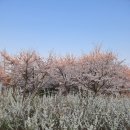 성화가설산업 | 히스테리 [Hysterie] /히스테리를 ‘의식 세계의 수축’/암시증(pithiatisme)이라는 이름으로.