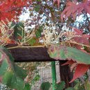 너른마당 이미지