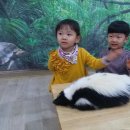 서해유치원 이미지