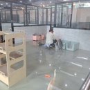 도그랜드 이미지