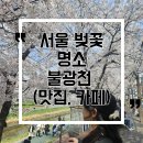 새절역3번출구 | [서울 벚꽃 데이트명소] 불광천 근처 맛집+주차장 추천, 새절역 느좋 카페 벚꽃 명소