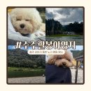 렉카마트 | 충북 충주 무료 노지캠핑 차박 명소 수주팔봉캠핑장 후기