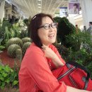 라이프앤투어 이미지