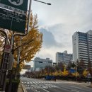 평촌중앙병원 | 신혼부부 평촌 임장 데이트 (6억 이하, 보금자리론)