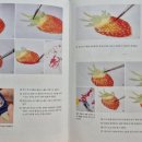 보테니컬아트 | 한 권으로 끝내는 보타니컬 아트 후기