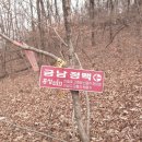 복룡제 Daum카페