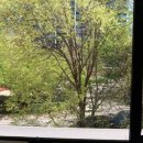 캔버라호텔 옆 이미지