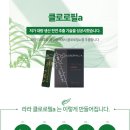 동화1차A 이미지