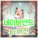 네이버(NAVER)PC 이미지