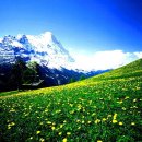 장수헬스클럽 이미지