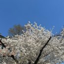 한티불낙식당 이미지