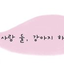 팀온짐(TEAM ON GYM) 이미지