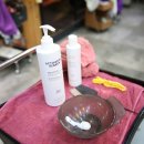 염색나라 이미지