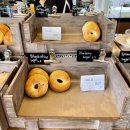 사림동304 | 창원, 사림동 베이글맛집 베이글브런치카페 노틀담 가오픈 + 정식오픈