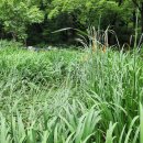 미성동-22 이미지