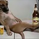 오시