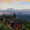 김수자농장 이미지