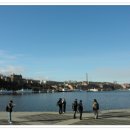 토리에트 이미지