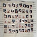 연희도그 이미지