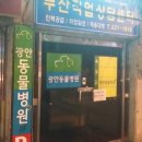 광안동물병원 이미지