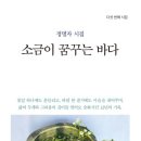 꿈꾸는 바다 이미지