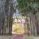 군민운수 | 담양 가볼만한곳 애견동반 가능한 죽녹원 후문 입장 코스