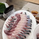 제주도 서귀포 맛집 자리돔횟집 고등어회 포장 내돈내산 후기