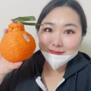 달서본리복싱 | 본리동 운동 감량 후기 많은 감삼동 여성전용 헬스장 살빼러온