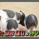 연우목장 이미지