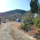 별산농장 네이버블로그