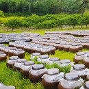 황주식품 이미지