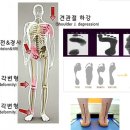 알리바바한의원