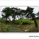산적골 Daum카페