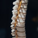 미드라쉬정형외과의원 이미지