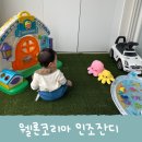 고정코리아 | 웰론코리아 인조잔디 베란다놀이터 인테리어 조경 후기