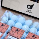 (주)베스트밸리골프클럽 | 경기도 안성 골프클럽Q 라운딩 후기 (코스상태·그린피·난이도·근처맛집까지 동탄 헬로로스트볼이...