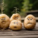 구황작물 이미지