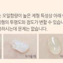 슈가포포