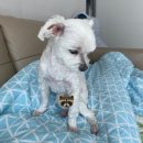 (주)성화골재 지점 | 홍철 없는 홍철 팀, 마크 없는 엔시티..