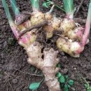 뫼뿌리농장 이미지