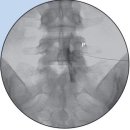 빛고을생생병원 이미지