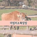 우목장 | 제주도 아이랑 가기 좋은 곳 아침미소목장