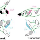 차차차(Open Break, Underarm Turn) 이미지