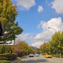 백운계곡캠핑장 | 포천 백운계곡캠핑장 할로윈 캠핑 계곡방갈로 오토캠핑 사이트 후기